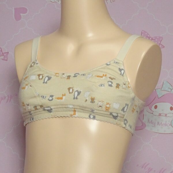 Z3815☆お下がり品☆スポーツブラ☆女の子