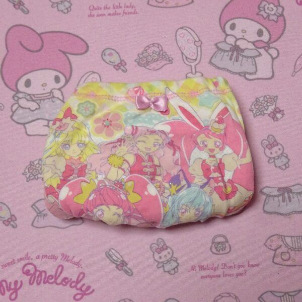 6879☆記名ありプリキュア☆100サイズ☆コットン　ジュニア　ショーツ