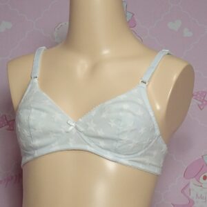Z4127☆☆ティーンズブラ☆サイズ不明☆女の子