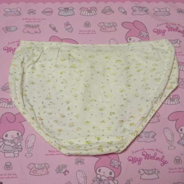 6956☆☆Mサイズ相当☆コットン　ジュニア　ショーツ - 画像 (2)
