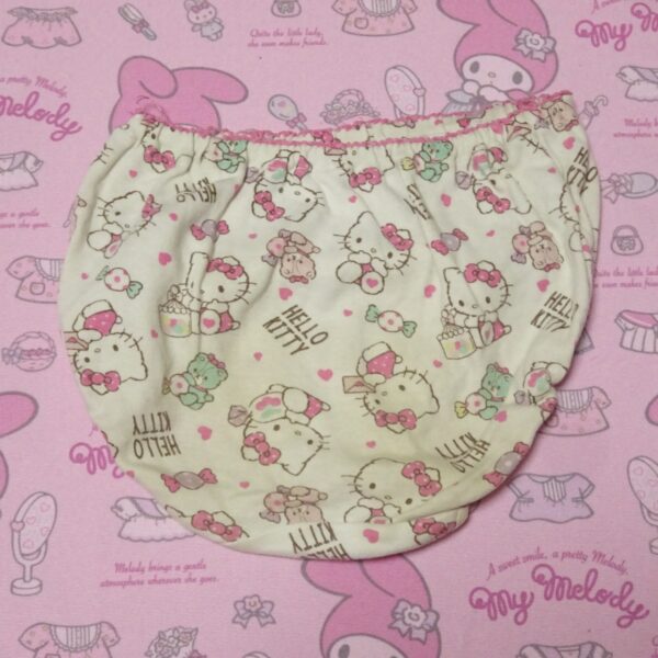 6982☆記名ありHelloKitty☆110サイズ☆コットン　ジュニア　ショーツ - 画像 (2)