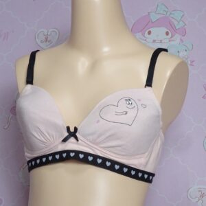 Z4278☆記名あり☆ティーンズブラ☆Lサイズ☆女の子