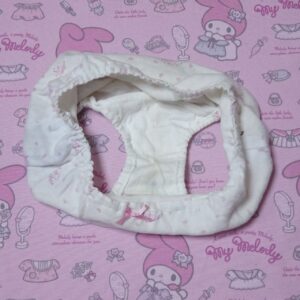 7697☆☆150サイズ☆コットン　ジュニア　ショーツ