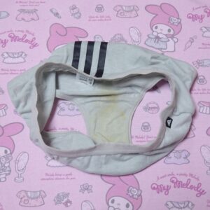 7949☆150サイズ☆コットン　ジュニア　ショーツ