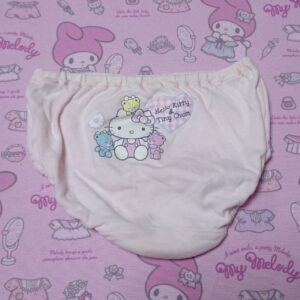 8159☆当時物 キティちゃん 100cm ジュニア ショーツ 記名あり 廃盤 希少デザイン タイニチャム レトロインナー 中古 質感あり