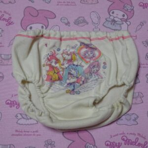 8581☆記名あり プリキュア 110サイズ☆ コットン　ジュニア　ショーツ