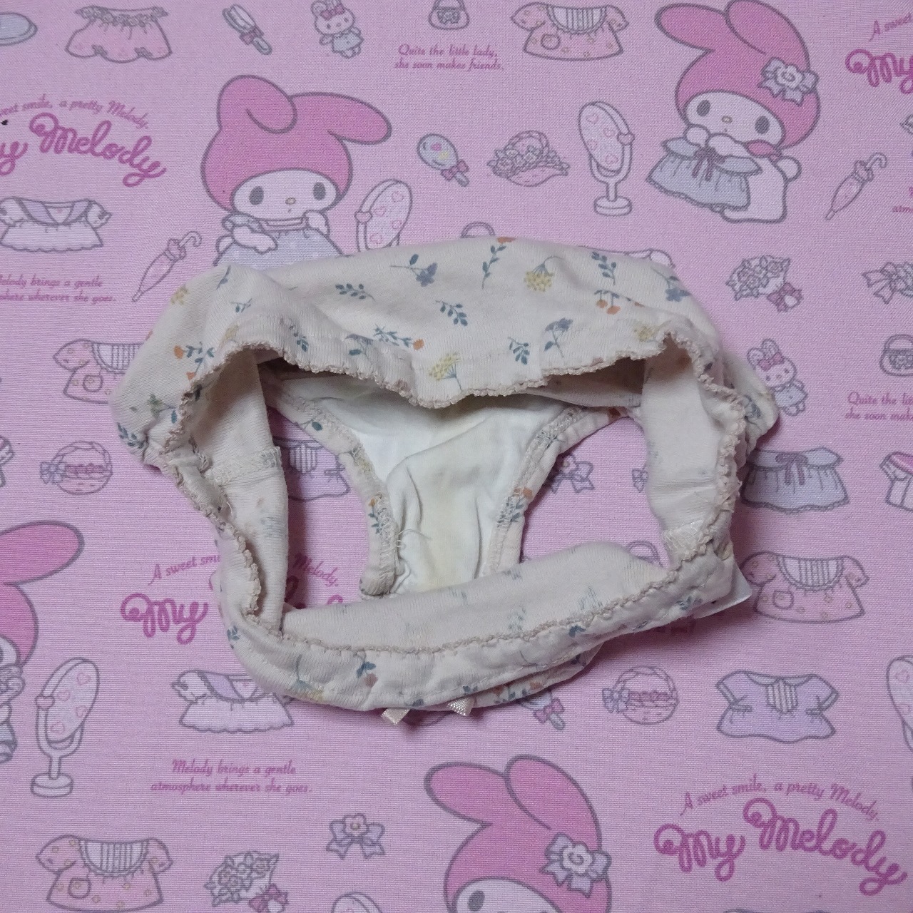 8701☆記名あり 110サイズ相当☆コットン ジュニア ショーツ - 画像 (2)