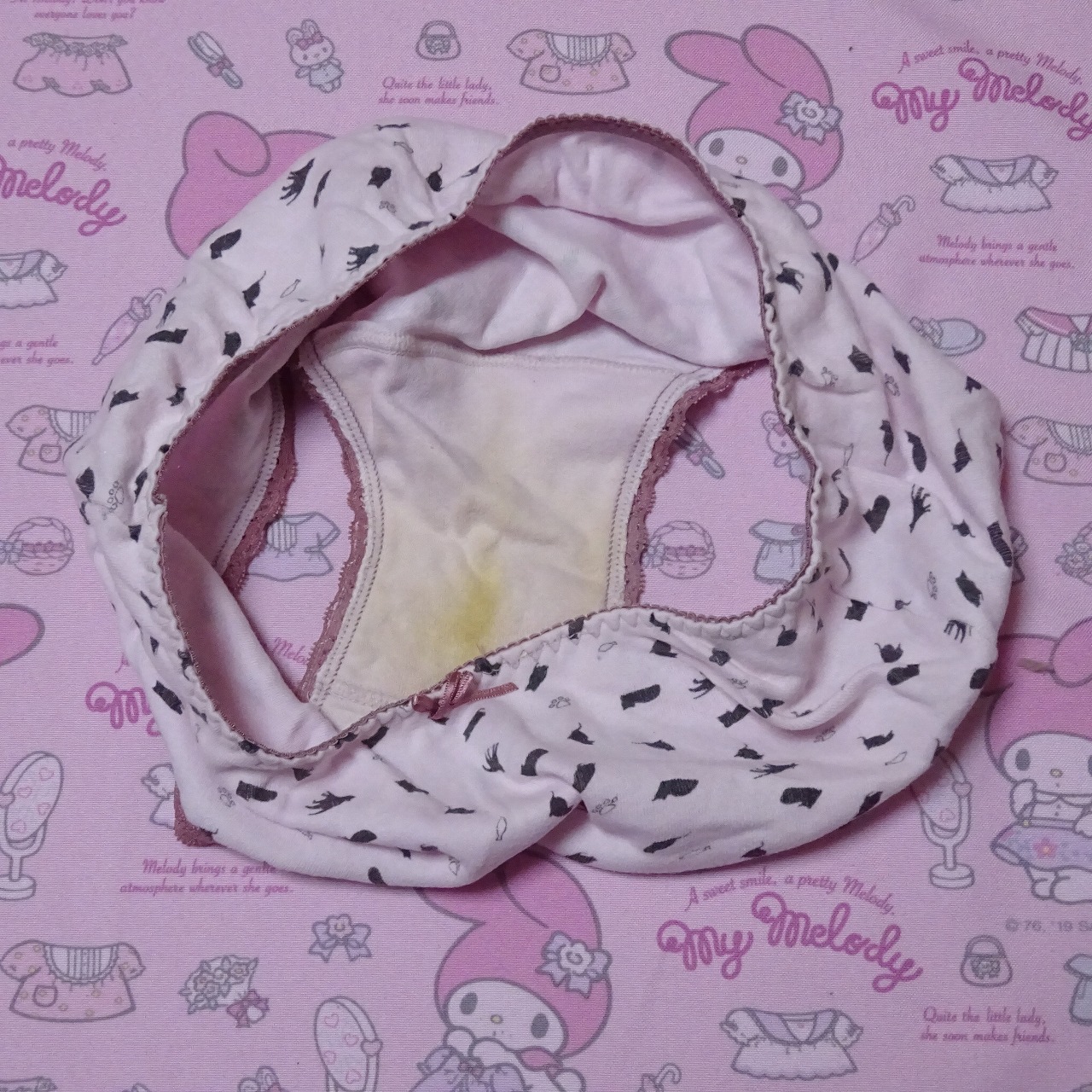 8895☆Mサイズ コットン ジュニア ショーツ - 画像 (2)