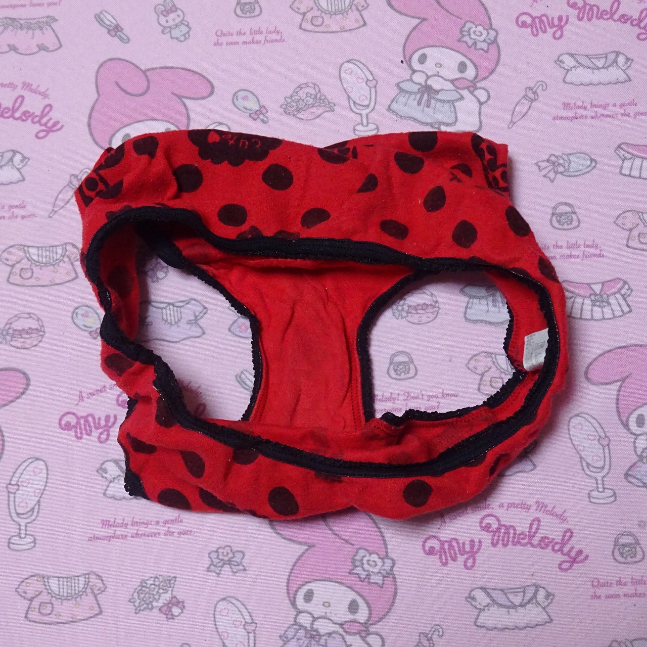 9005☆ Lサイズ ☆ コットン ジュニア ショーツ - 画像 (3)