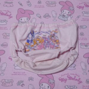 9311☆記名あり プリキュア 110サイズ ☆ コットン　ジュニア　ショーツ