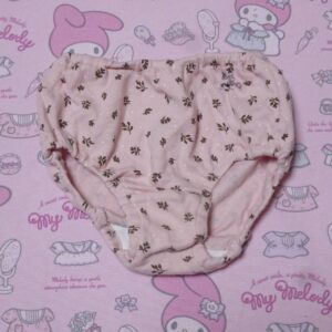 9531☆ 記名あり 100サイズ ☆  コットン　ジュニア　ショーツ