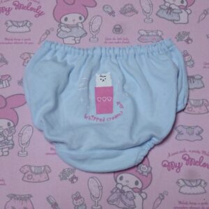 9613☆ 記名あり 100サイズ ☆  コットン　ジュニア　ショーツ