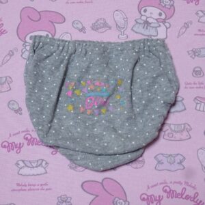 9742☆記名あり 100サイズ  ☆  コットン　ジュニア　ショーツ