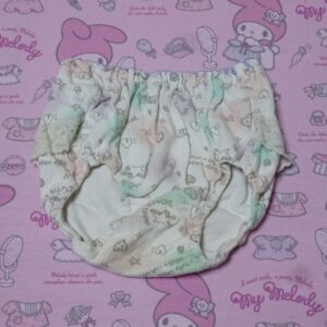 9762☆ 記名あり 100サイズ  ☆  コットン　ジュニア　ショーツ