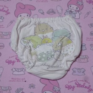 9777☆ 記名あり 100サイズ  ☆  コットン　ジュニア　ショーツ