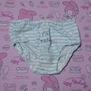 0088☆ 記名あり 110サイズ ☆  ジュニア  コットン  ショーツ