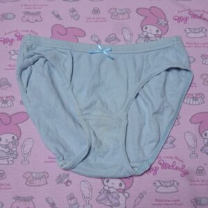 0239☆ Lサイズ  ☆  ジュニア  コットン  ショーツ