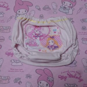 0855☆ 記名あり プリキュア 100サイズ  ☆  ジュニア  コットン  ショーツ