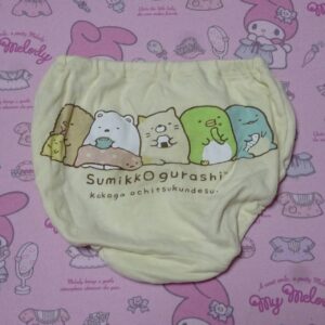 1047☆ 記名あり 110サイズ   ☆  ジュニア  コットン  ショーツ