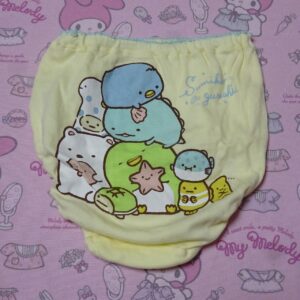 1253☆ 記名あり 120サイズ   ☆  ジュニア  コットン  ショーツ