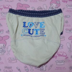 1281☆  160サイズ   ☆  ジュニア  コットン  ショーツ
