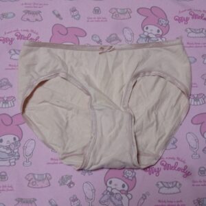 1323☆ トリンプ Lサイズ   ☆  ジュニア  コットン  ショーツ