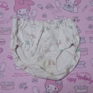1381☆  100サイズ   ☆  ジュニア  コットン  ショーツ