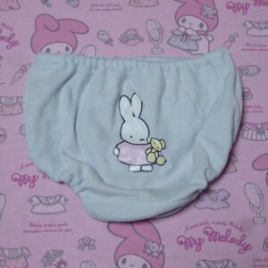 1431☆  100サイズ   ☆  ジュニア  コットン  ショーツ